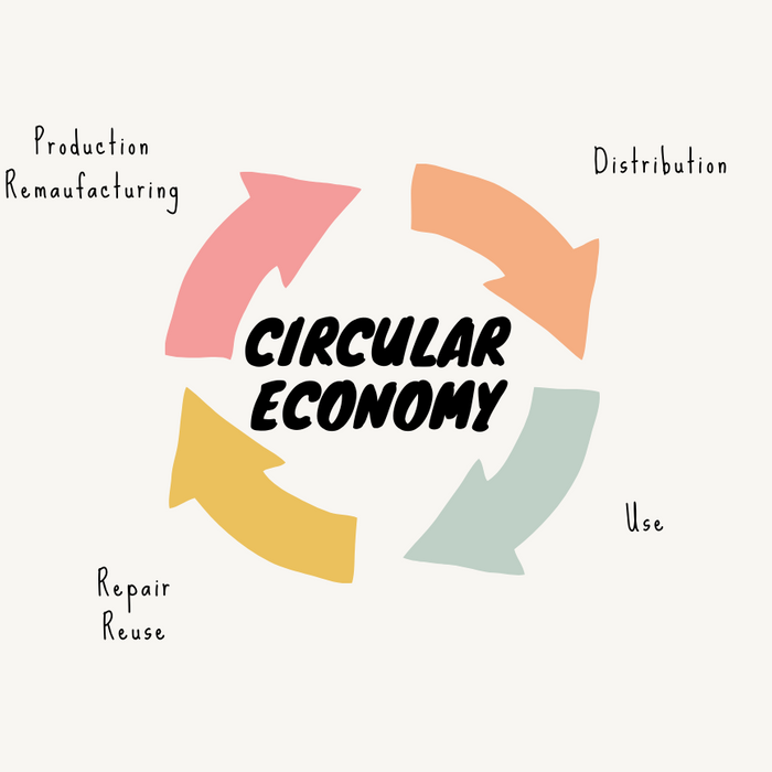 Climate Change and the Role of Circular Economy in India