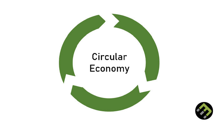 The Circular Economy Explained: How Waste Can Become Wealth