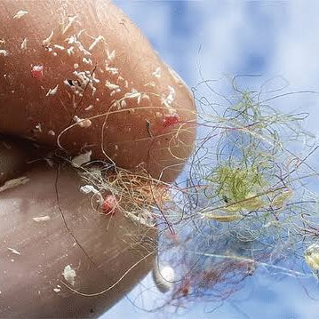 The Science Behind Microplastics and Their Impact on Human Health