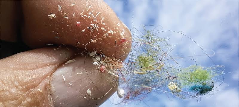 The Science Behind Microplastics and Their Impact on Human Health
