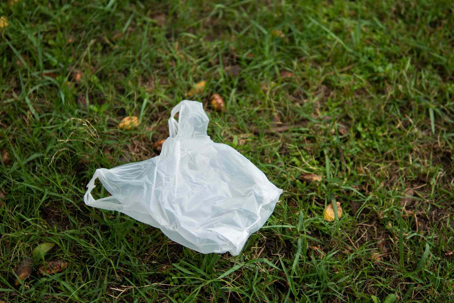 What Happens to a Plastic Bag After You Throw It Away?