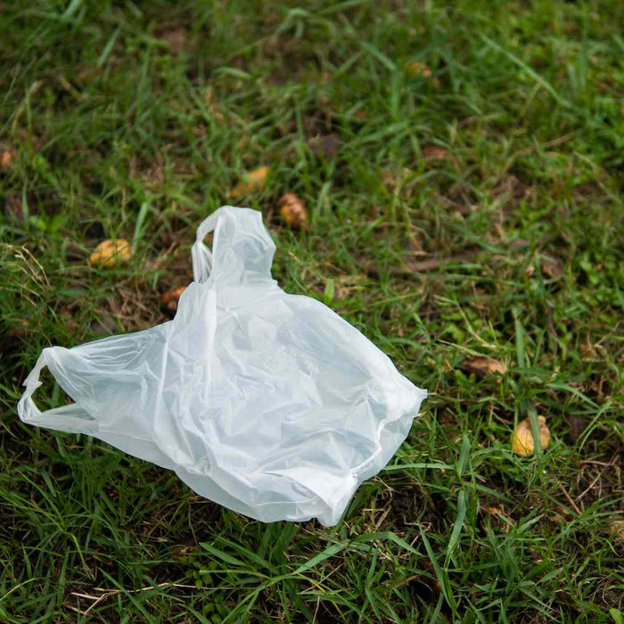 What Happens to a Plastic Bag After You Throw It Away?