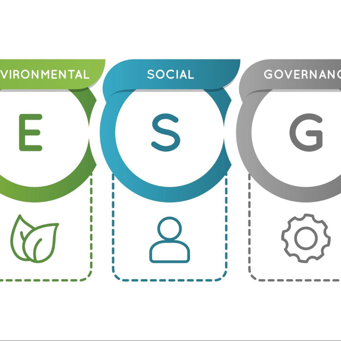 What is ESG and Why Should Businesses Care?