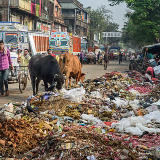 Why Recycling Alone Cannot Solve India's Plastic Waste Crisis