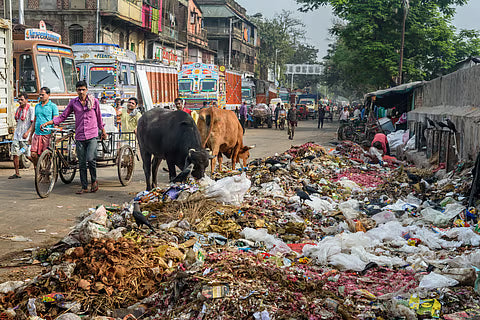 Why Recycling Alone Cannot Solve India's Plastic Waste Crisis