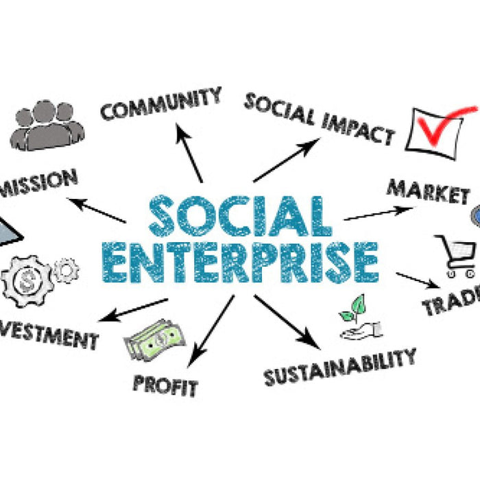 Why Social Enterprises Are the Future of Sustainable Business