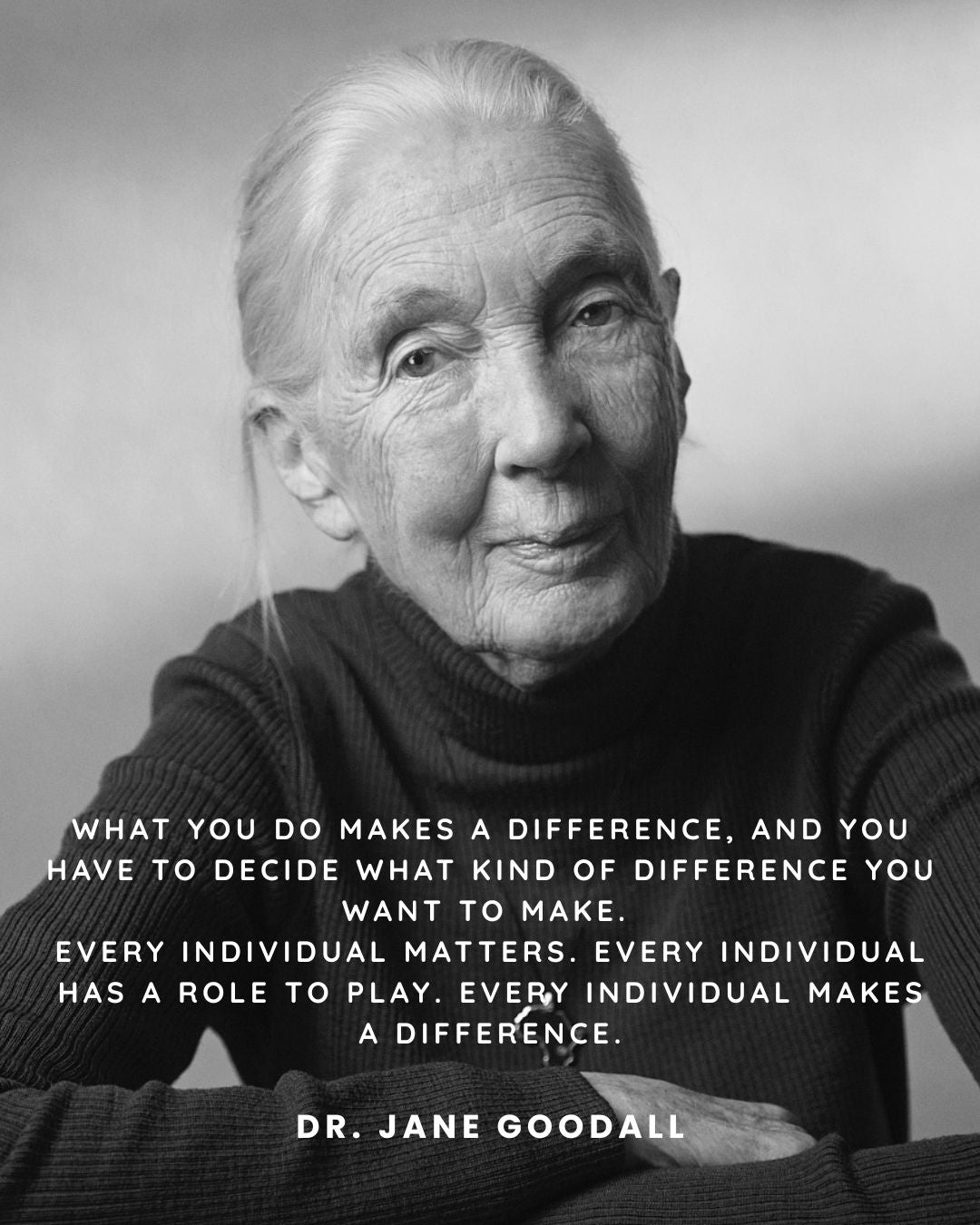 Honouring Dr Jane Goodall: A Global Icon of Hope, Conservation, and Compassion
