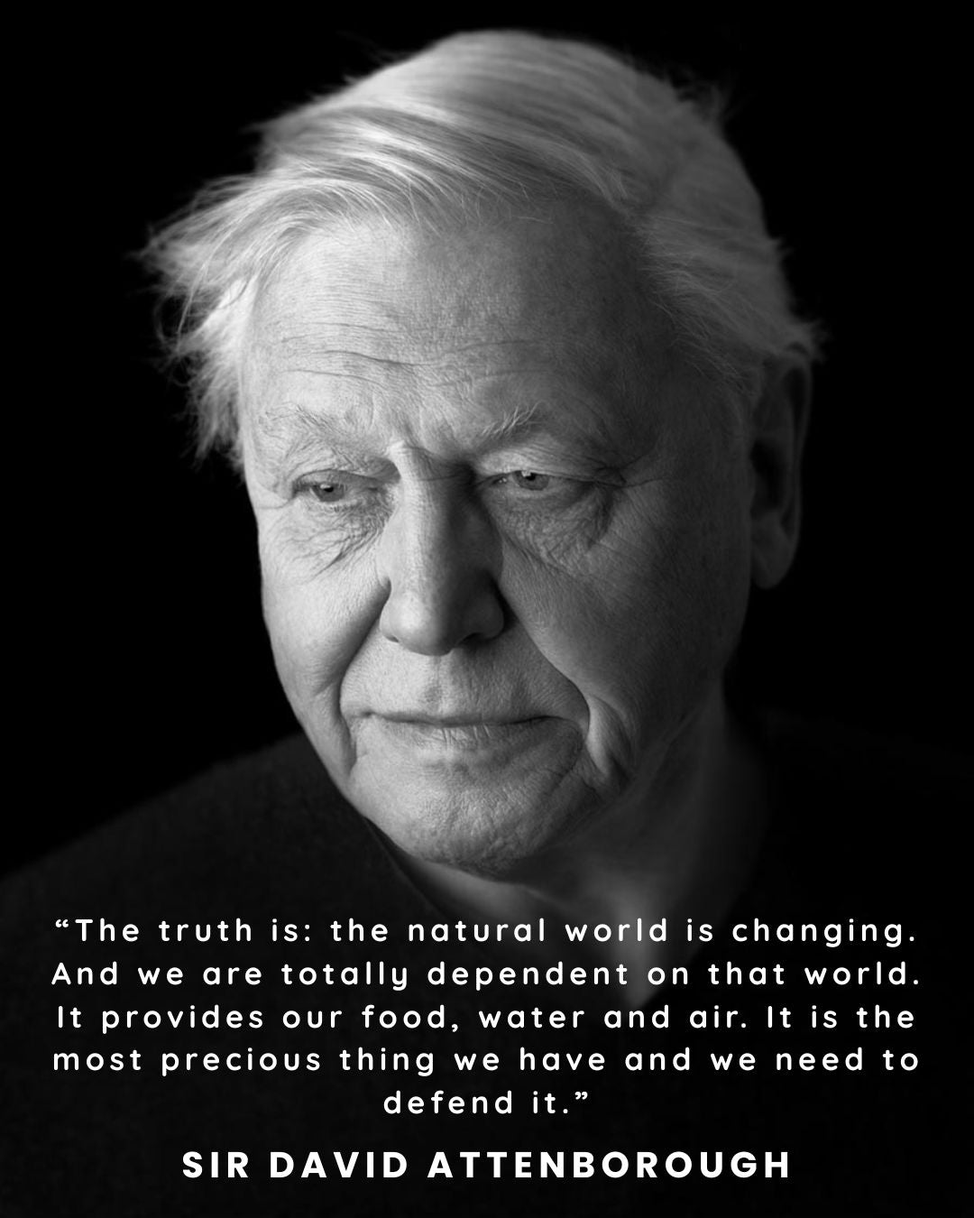 100 Years of Sir David Attenborough: A Legacy That Continues to Inspire Conscious Living