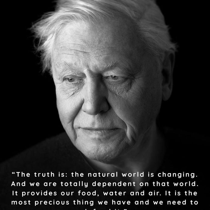 100 Years of Sir David Attenborough: A Legacy That Continues to Inspire Conscious Living