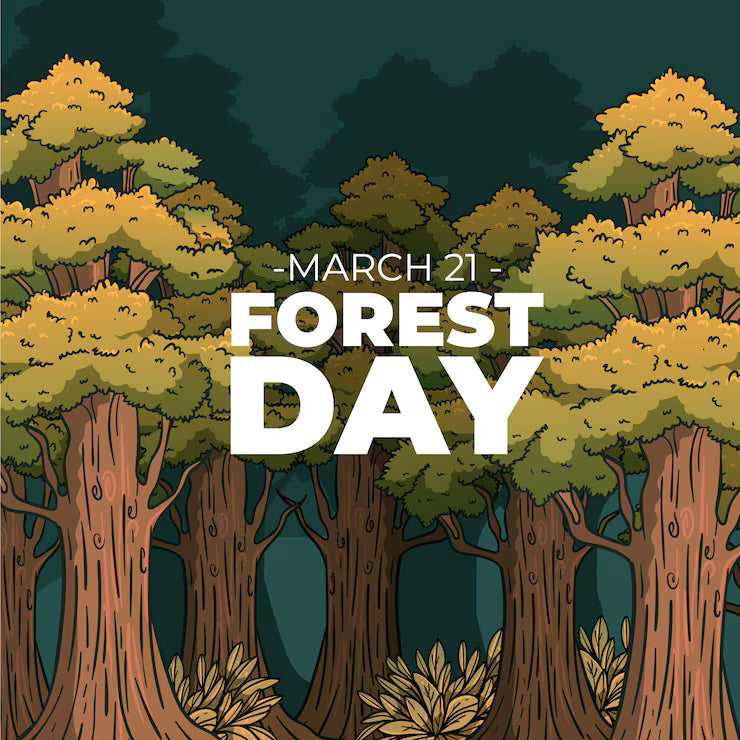 World Forestry Day: Protecting Forests Through Circular Living