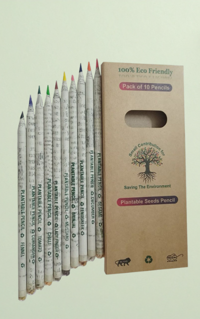 Coloured Seed Pencils (Set of 10)