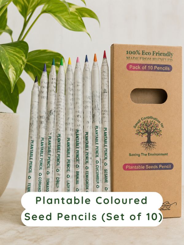 Plantable Coloured Seed Pencils (Set of 10)