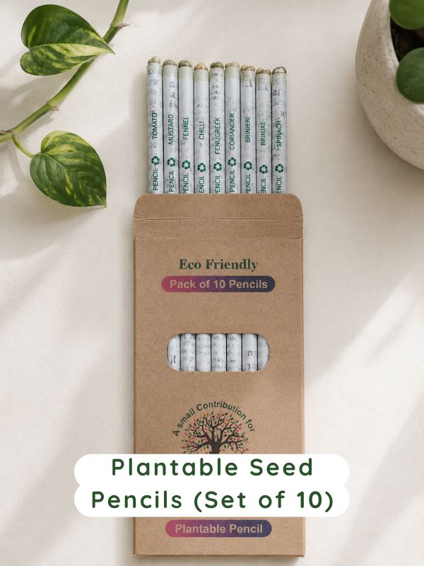 Plantable Seed Pencils (Set of 10)