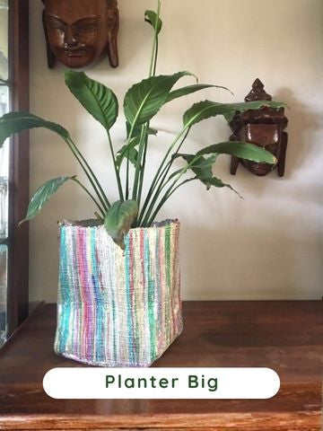 Planter Big