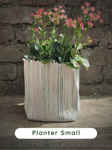 Planter Small