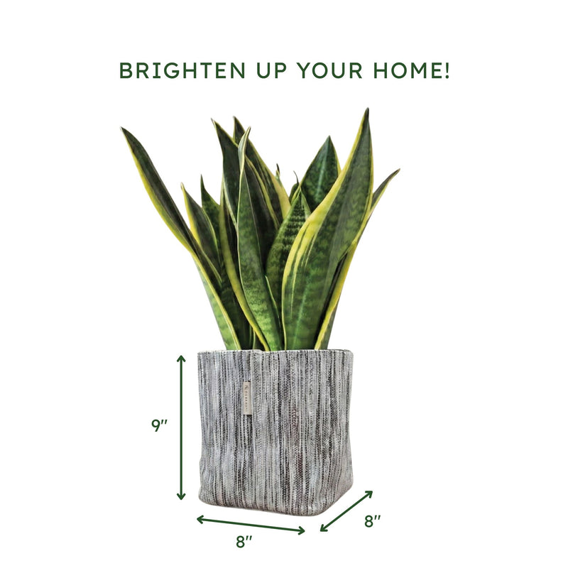 Upcycled Big Planter (BP0089) | Handcrafted by EcoKaari