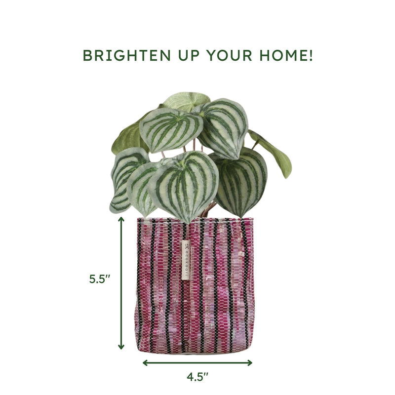 Upcycled Small Planter (SP0060) | Handcrafted by EcoKaari